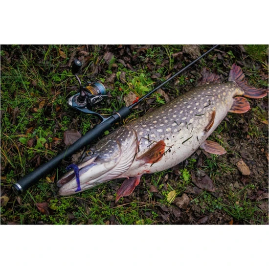 Shad Fishup U-shad, 9cm, Lemon, 8buc/pac