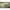 Shad Fishup Wizzle Shad, 5cm, Flo Chartreuse Green, 10buc/pac