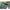 Shad Fishup Wizzle Shad, 5cm, Lemon, 10buc/pac