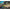 Shad Fishup Wizzle Shad, 5cm, Lemon, 10buc/pac