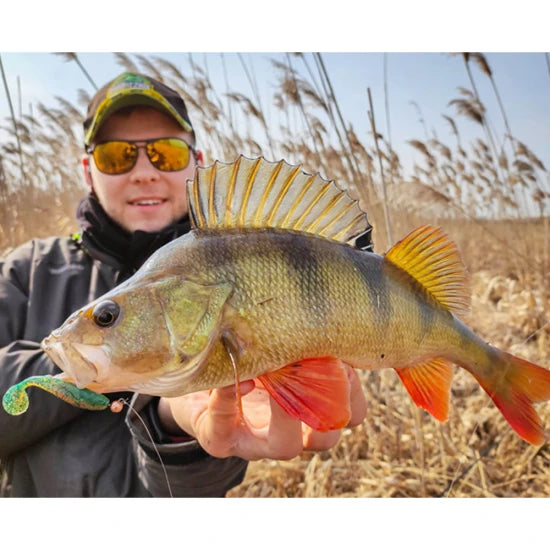 Shad Fishup Wizzle Shad, 8cm, Lemon, 8buc/pac