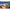 Shad Fishup Wizzy , 3.8cm, Pearl, 10buc/pac
