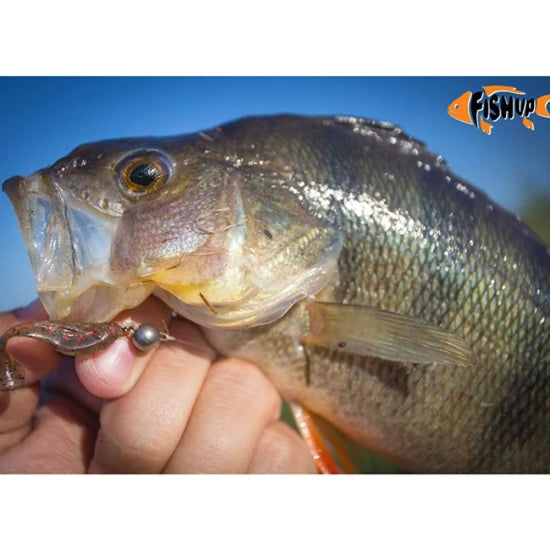 Shad Fishup Wizzy , 3.8cm, Pearl, 10buc/pac