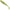 Shad Formax Attack Speedy, 10cm, Culoare 39, 4buc/pac
