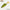Shad Fast Strike Roach, Rgo Roach Green Orange, 8cm, 5g