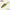 Shad Fast Strike Roach, RGO Roach Green Orange, 8cm, 5g