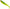 Shad Fox Rage Pro Zander - Lemon Tiger 7.5cm