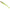Shad Fox Rage Slick Fast Super Soft, Lemon Tiger, 15cm, 1buc/plic