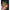Shad Fox Rage Zander Pro, Natural Perch , 14cm