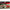 Shad Germina Impulse Aggressive 8.5cm Culoare 01
