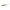 Shad HMKL Alive Coby 2.5inch 6.2cm UCS Usume Cinnamon Seed  20 buc/plic