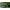Shad Jackall Dead Slower, Spawngil, 12cm, 5buc/pac