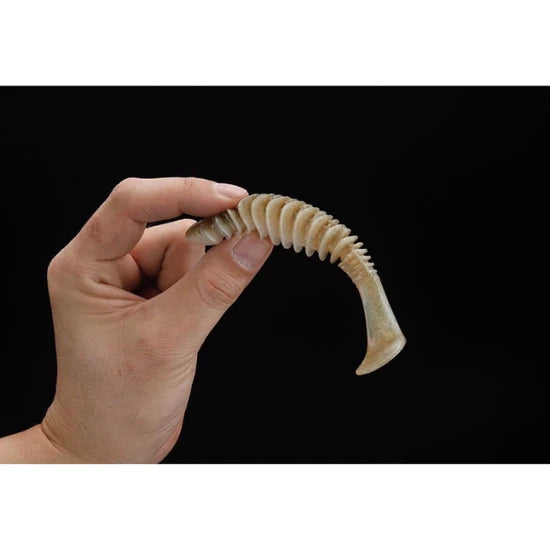 Shad Jackall Dead Slower, Spawngil, 12cm, 5buc/pac