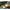 Shad Keitech Easy Shiner, Electric Shad 440, 5cm, 12buc/pac