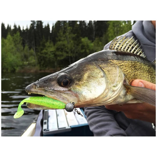Shad Keitech Easy Shiner Ghost Rainbow 482 20cm, 2buc/plic