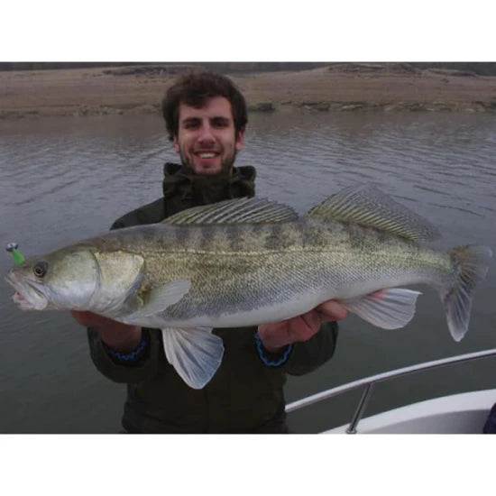 Shad Keitech Easy Shiner, Green Pumpkin - Chartreuse 401,  7.5cm, 10buc/pac