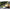 Shad Keitech Easy Shiner Kokanee Salmon 483 20 Cm