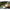 Shad Keitech Easy Shiner, Wakasagi 412, 10cm, 7buc/pac