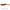 Shad Libra Lures Embrion Shad, 12.5cm, 15g, Angry Carrot, 4buc/pac