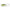 Shad Lake Fork Live Baby 5.71cm Bar Fish