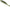 Shad Mikado Real Fish, Culoare Olive Bleak, 8.5cm, 5buc/pac