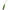 Shad Nomura Mini Real Pluse Multi Tiger 5cm 5buc/plic