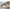 Shad Pontoon21 Gad Footsie 9cm 1108