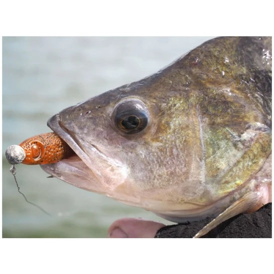 Shad Pontoon21 Gad Footsie 9cm 2211