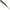 Shad Rapala Crushcity The Jerk, Gs, 9.5cm, 7buc/pac