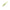 Shad Rapture Power Shad Dual 10cm 8buc/plic Apple Mint