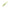 Shad Rapture Power Shad Dual 5cm Culoare Apple Mint 20buc/plic