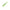 Shad Rapture Power Shad Dual Lime Yellow 10cm 8buc/plic