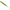 Shad Reins Aji Adder 5cm, Culoare Watermelon Seed   15buc/plic