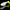 Shad Relax Jankes Tail T059, 5cm, 5buc/pac