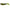 Shad Relax Kopyto 3 inch Print, 7.5cm  PRINT3-043 4 buc/plic