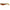 Shad Relax Kopyto 3 inch Print, 7.5cm  PRINT3-089 4 buc/plic