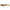 Shad Relax Kopyto 3 inch Print, 7.5cm  PRINT3-206 4 buc/plic