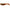 Shad Relax Kopyto 3inch Standard 7.5cm  RKBLS3-S091 6 buc/plic