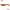 Shad Relax Kopyto 4L TriColor 193 10cm 14g 4buc/plic