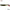 Shad Relax Kopyto 4L TriColor 427 10cm 14g 4buc/plic