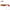 Shad Relax Kopyto Tricolor 7.5cm 137 5buc/plic