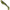 Shad Relax Ripper, Culoare A3, 3cm, 10buc/pac