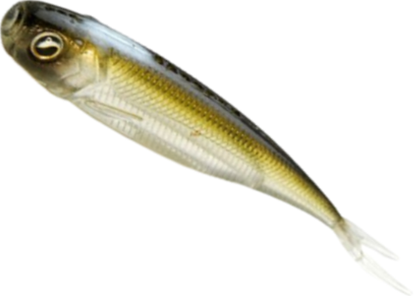 Shad Riad Fish Skin Roller, 079 The Bait, 8.9cm, 7buc/pac