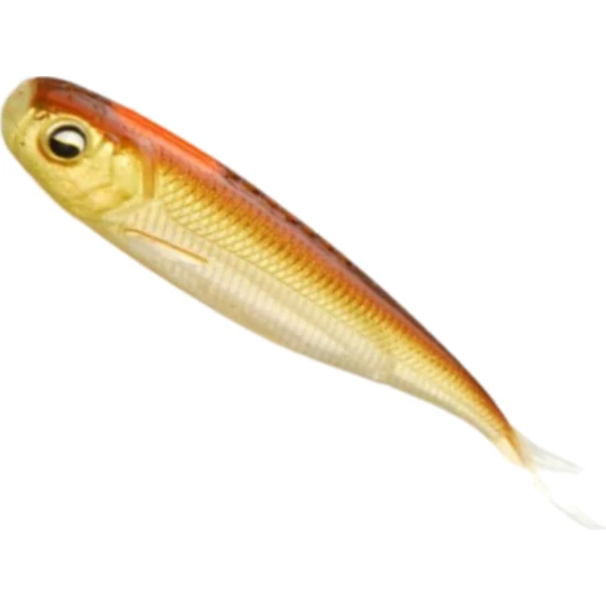 Shad Riad Fish Skin Roller, 081 Stain Wakasagi, 8.9cm, 7buc/pac