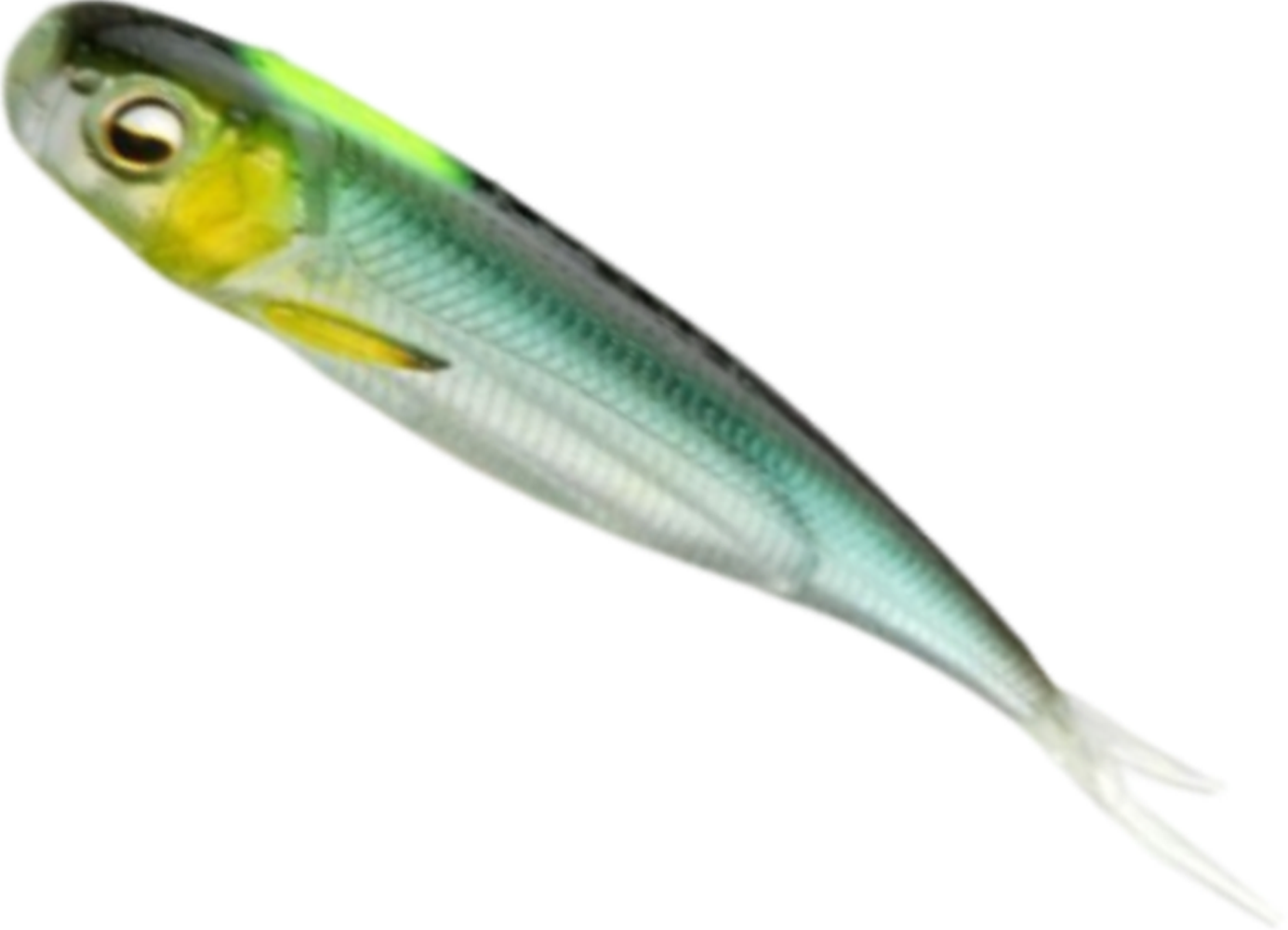 Shad Riad Fish Skin Roller, 082 Hustler, 8.9cm, 7buc/pac