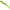 Shad Savage Gear 3d Whitefish Shad Lure, Lime, 12cm, 14g, 3buc/pac