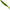 Shad Savage Gear Craft Bleak, 7cm, 2.5g, Chartreuse Pumpkin, 50buc/pac