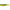 Shad Savage Gear Cannibal Shad 10cm 4 Buc/plic Burbot Firetiger
