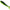 Shad ZFISH Wormy 9.5cm, C6, 4buc/pac
