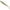 Shad Zeck Zander Gummi, Gurkchen, 12cm, 3buc/pac